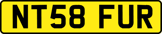 NT58FUR