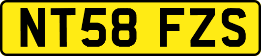 NT58FZS