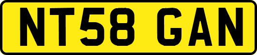 NT58GAN