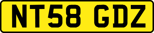 NT58GDZ