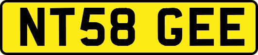 NT58GEE