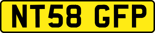 NT58GFP