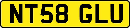 NT58GLU