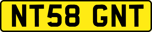 NT58GNT