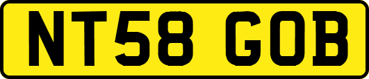 NT58GOB