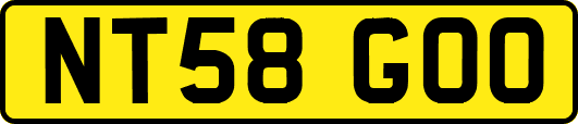 NT58GOO
