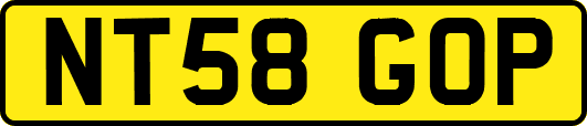NT58GOP