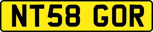 NT58GOR