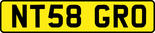 NT58GRO