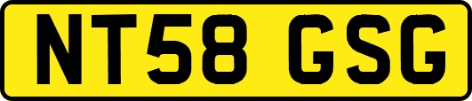 NT58GSG