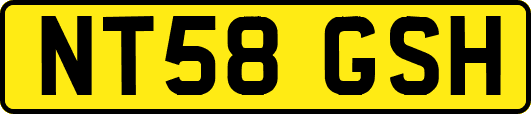 NT58GSH