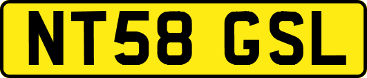 NT58GSL