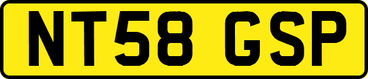 NT58GSP