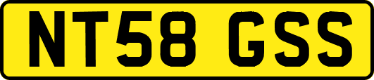 NT58GSS