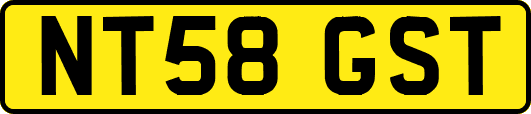 NT58GST