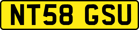NT58GSU