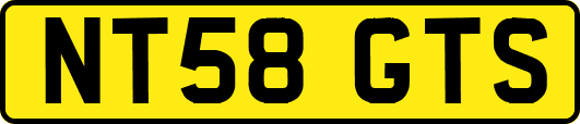 NT58GTS