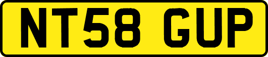 NT58GUP