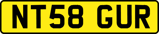 NT58GUR
