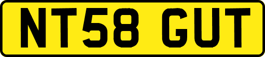 NT58GUT