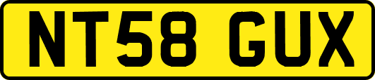 NT58GUX