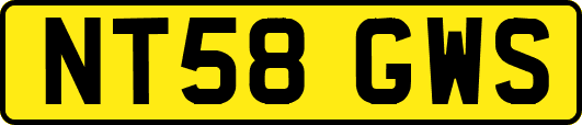 NT58GWS