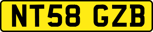 NT58GZB