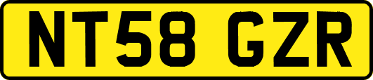 NT58GZR