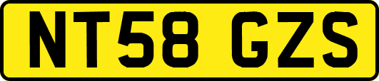 NT58GZS