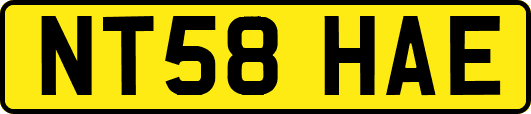 NT58HAE