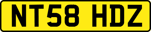 NT58HDZ