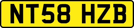 NT58HZB
