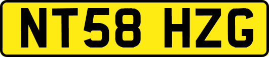 NT58HZG