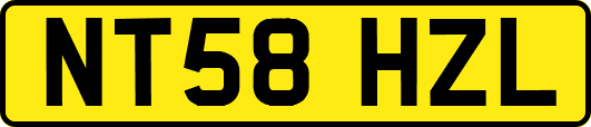 NT58HZL