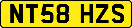 NT58HZS