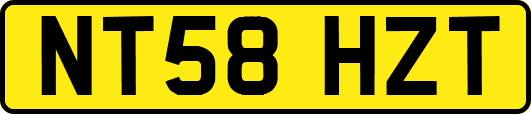 NT58HZT