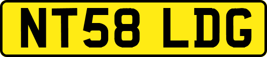NT58LDG