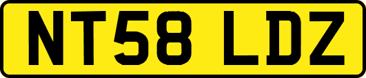 NT58LDZ
