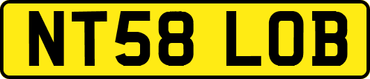 NT58LOB