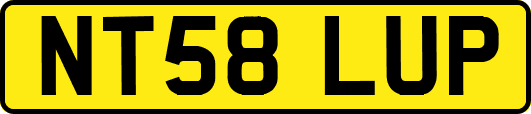 NT58LUP