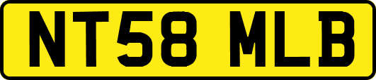 NT58MLB