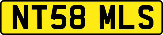 NT58MLS