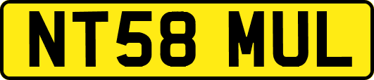 NT58MUL