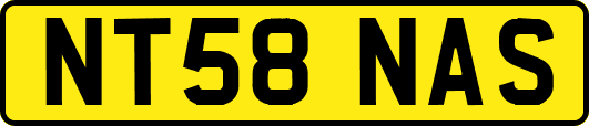 NT58NAS