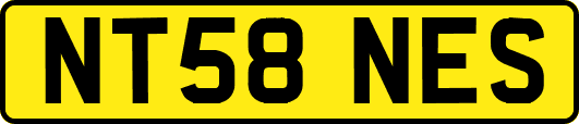NT58NES