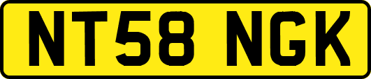 NT58NGK