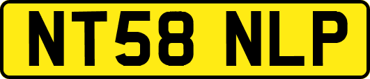 NT58NLP