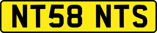 NT58NTS