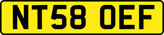 NT58OEF