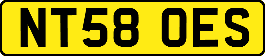 NT58OES